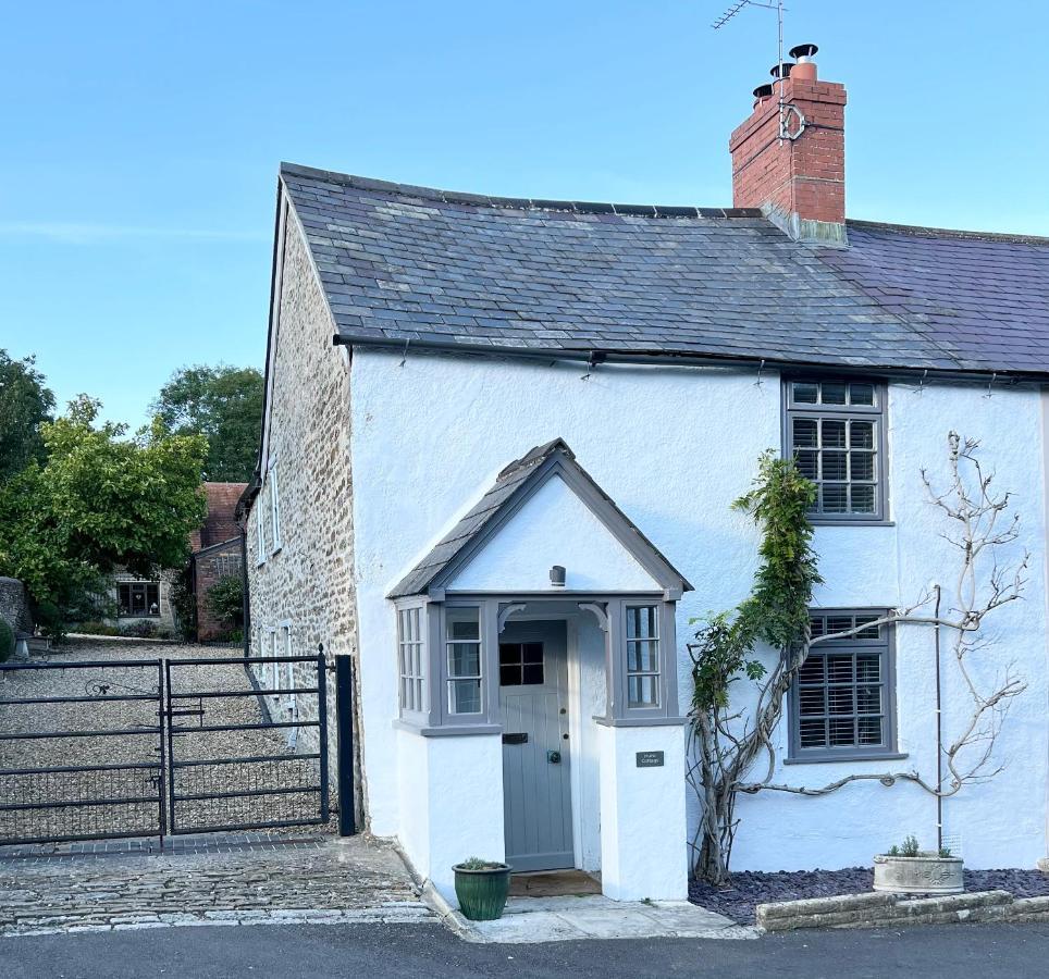 Stalbridge Hurst Cottage, A Cosy 2 Bed Cottage In Dorset מראה חיצוני תמונה
